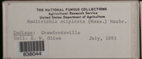 Image Associated With the Occurence